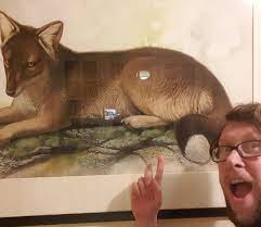 + add or change photo on imdbpro ». Darren Naish On Twitter Me With A Peter Schouten Original In A Private Collection Life Sized Depiction Of The Extinct Warrah Or Falkland Islands Wolf Https T Co 9qxghzubu8
