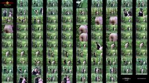 Lovely lady threw in a Cruxforum along with