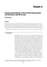 Check spelling or type a new query. Pdf Selected Simple Methods Of Plant Cell Wall Histochemistry And Staining For Light Microscopy