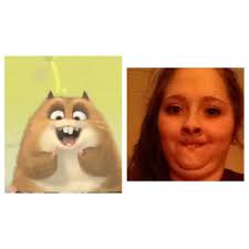 animallookalikes (@animaltwins)