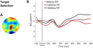 How to overcome analysis paralysis in google analytics. Practising Trading Graphs Offline Practising Trading Graphs Offline