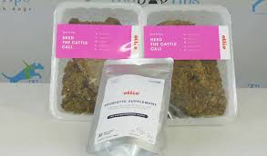 Ollie Fresh Dog Food Review And What To Know About It