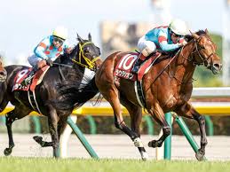 競馬メニュー> レース成績データ> 安田記念（過去gⅰ成績） レース成績データ 過去gⅰ成績. Sqvtdydhskwm7m
