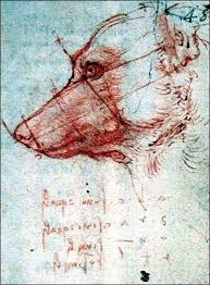 A Dog Head Appears In A Notebook By Leonardo Da Vinci Da Vinci Drawings Animal Drawings Leonardo Da Vinci