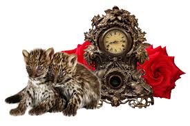 Warnanya kuning berkilau seperti emas dan dasar. Mata Harimau Gambar Gratis Di Pixabay