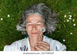 37+ Thousand Gray Daisy Royalty-Free Images, Stock Photos & Pictures