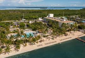 Image result for Faroa amara