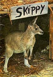 We did not find results for: A Shroud Of Thoughts Animal Shows Of The Sixties