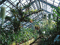 Die sammlung des ehemals königlichen. Liste Von Botanischen Garten In Deutschland Wikipedia