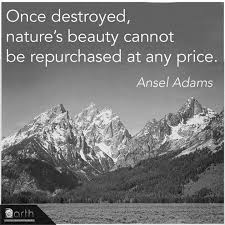 Black And White Vs Color Photography Quotes Happy Friday Agree Moms Clean Air Force Ansel Adams Nature Quotes Nature Beauty