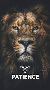Pin On Beast Desire Wallpaper