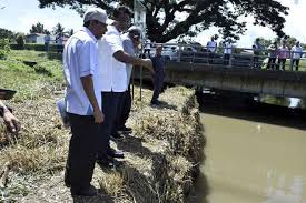 Saliran air yang baik menjadikan pokok sawit subur dan mengeluarkan hasil optimum. Kerajaan Pusat Sedia Dua Pakej Rm300 Juta Cegah Banjir Di Tawau Utusan Borneo Online