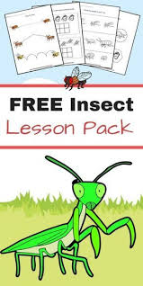 Free Insect Worksheets Great For Elementary Students Insects Preschool Insect Activities Insects Kindergarten