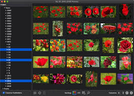 Geheimtipp Picarrange Mac App Sortiert Fotosammlung Visuell Ifun De