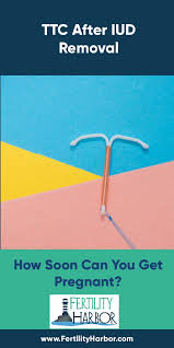 Maybe you would like to learn more about one of these? Pin On Fertility Blog Posts