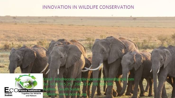 Today we join the world to celebrate #WorldCreativityandInnovationDay - Our innovation in Conservation for #SouthSudan