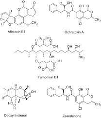 Mycotoxins Sciencedirect