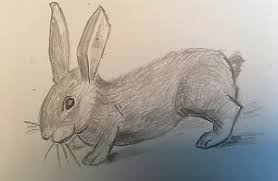 Qui veut apprendre à faire un lapin de pâques en ce lundi férié ?!😁 petite vidéo ; Apprendre A Dessiner Un Lapin En 5 Minutes Art Express