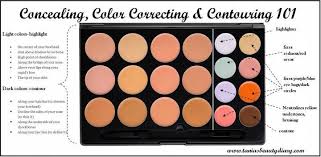 Prettiest Palettes For Color Correcting Favful