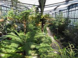 In 1681 georg balthasar metzger. Willkommen Im Botanischen Garten Universitat Tubingen