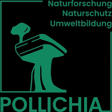 Image result for Pollichia