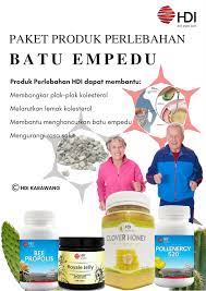 Produk Hdi Dapat Membantu Dalam Penyembuhan Penyakit Batu Empedu Yaitu Dengan Membongkar Plak Plak Kolesterol Melarutkan Lemak Kolester Lemak Rasa Sakit Batu