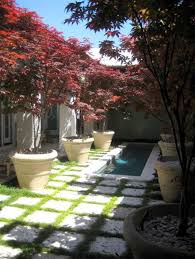 Troy Rhone Garden Design Japenese Maple Garden Design Patio Trees Garden Inspiration
