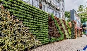 We did not find results for: Tursa Vertical Green Wall Rs 450 Square Feet Skt Impex Id 19950753491