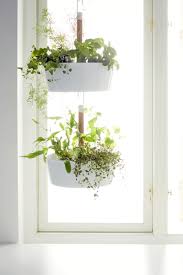 Bittergurka Ampel Weiss Ikea Deutschland Hangender Garten Ikea Pflanzen Pflanzen