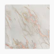 We did not find results for: Marble Rose Gold Marble Metallic Blush Pink Canvas Print By Naturemagick Rose Gold Marble Rose Gold Decor Rose Gold Kitchen