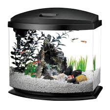 Aqueon 5 Gallon Minibow Led Desktop Fish Aquarium Kit Black Petco Aquarium Kit Aquarium Led Aquarium