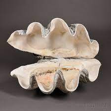 Vintage clam shell alabaster stone trinket jewelry box scalloped hinged footed. Pin On Visual Journal