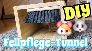Als tischlaterne oder für den martinsumzug eine schöne eulenlaterne basteln. Fellpflege Tunnel Selber Bauen Diy Youtube