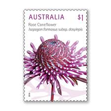 Image result for Dasylepis