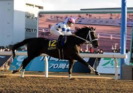 \＼ #菅田将暉 さん・ #有村架純 さんのインタビューや、撮影のメイキング映像も満載! åœ°æ–¹ç«¶é¦¬ ãƒãƒ¥ã‚¦ãƒ¯ã‚¦ã‚£ã‚¶ãƒ¼ãƒ‰ãŒå·å´Žè¨˜å¿µåˆ¶è¦‡ ï½Šï½‚ï½ƒã‚¯ãƒ©ã‚·ãƒƒã‚¯ä»¥æ¥ã®ï½‡ï¼'ç´šï½–ï¼' æ³¨ç›®ãƒ¬ãƒ¼ã‚¹ãƒ—ãƒ¬ã‚¤ãƒãƒƒã‚¯ ãƒ¬ãƒ¼ã‚¹ ãƒ‡ã‚¤ãƒªãƒ¼ã‚¹ãƒãƒ¼ãƒ„ Online