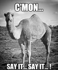 The term was not originally intended to carry a hump day got popular when geico aired it's commercial with a camel walking in an office yelling hump day! and guess what. Facebook
