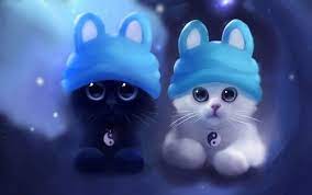 Laptop Backgrounds With Cute Black And White Kitten Cute Kittens Images Cute Cat Wallpaper Cute Wallpapers