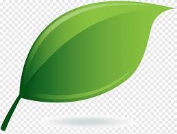 1502 great dover cir channelview tx 77530. Daun Png Images Pngegg