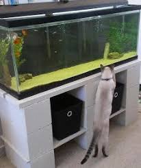 Diy Cinder Block Aquarium Stand Aquarium Stand 55 Gallon Aquarium Stand Diy Aquarium