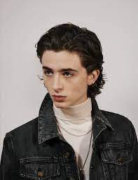 Timothée chalamet began his acting career in short films, before appearing in the television drama series homeland. Timothee Chalamet Photo 72 Of 0 Pics Wallpaper Photo 1024663 Theplace2