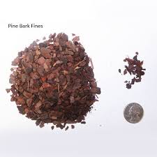 This natural extract originating from the bark of the maritime pine that grows along the coast of southwest france contains a unique combination of procyanidins. Pine Bark Fines Bonsai Soil Artisans Bonsai