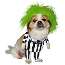 Our selection includes cat costumes and dog costumes for halloween, christmas, 4th of as a pet owner, and i enjoy celebrating every holiday, even with my pets, the quality, pricing and lead time of the costume, that i purchased, from. Null Pet Costumes Pet Costumes For Dogs Beetlejuice