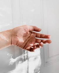 20 Hand Pictures Images Hd Download Free Photos On Unsplash Gambar kata kata sahabat sejati selamanya, yang lucu dan tentang muslimah dan islami. 20 hand pictures images hd