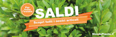 5 offerte speciali mondo piante ➤ non perdere il codice sconto mondo piante 2020 e coupon, buoni promozionali mondo piante per la. Piante Da Giardino Mondo Piante Vendita Piante Online