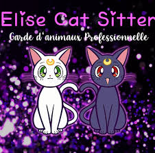 Elise Cat Sitter