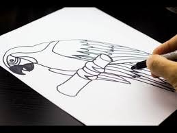 We love all of your ideas, thanks for sending them in. How To Draw A Parrot Art For Kids Hub Art For Kids Hub Parrots Art Art For Kids