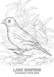 Free printable united states emblems worksheets. Florida State Bird Coloring Page Free Coloring Library