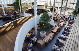 Currently it is the largest supplier of photolithography systems for primarily. Bomen Bij Asml Veldhoven Lijken Tot In Hemel Te Groeien Foto Bd Nl