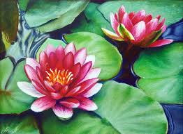 Flower Art For Sale Water Lilies Art Water Lily Drawing Flower Art