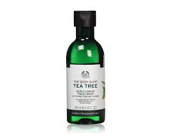Tea Tree Oil Face Wash The Wonder Wand For Oily Skin Most Searched Products Times Of India